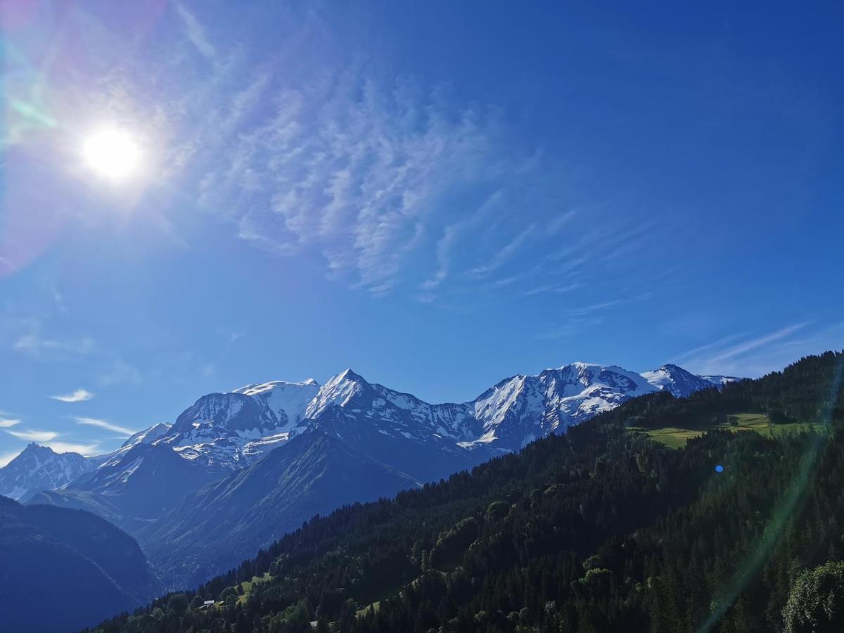 Апартаменты Duo Des Alpages Vue Exceptionnelle Sur Le Mont Blc Сен-Жерве-Ле-Бэн Экстерьер фото