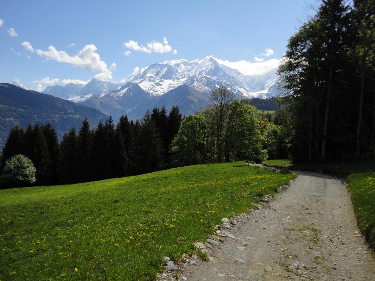 Апартаменты Duo Des Alpages Vue Exceptionnelle Sur Le Mont Blc Сен-Жерве-Ле-Бэн Экстерьер фото