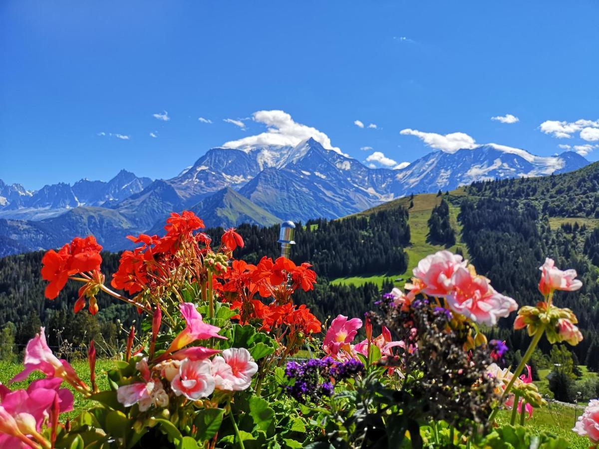 Апартаменты Duo Des Alpages Vue Exceptionnelle Sur Le Mont Blc Сен-Жерве-Ле-Бэн Экстерьер фото