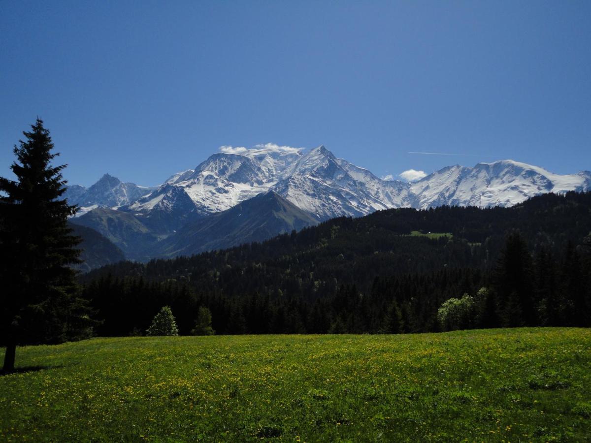 Апартаменты Duo Des Alpages Vue Exceptionnelle Sur Le Mont Blc Сен-Жерве-Ле-Бэн Экстерьер фото